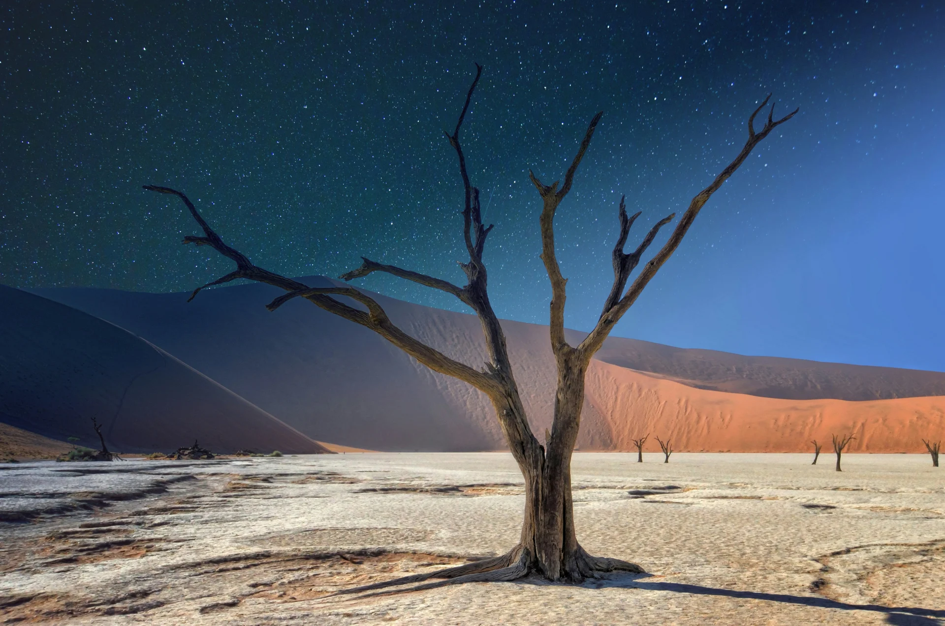 Deadvlei beneath a starry sky